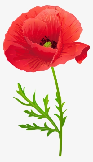 Opium Flower Clip Art Transprent Png Free Source - Clip Art #1068980