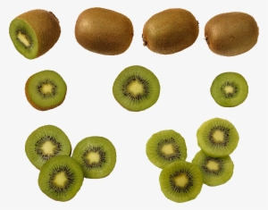 Fruit Kiwi Icon Transparent Background #1069003