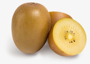 Gold Kiwi - Kiwifruit #1069022