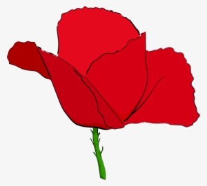 Poppy Clipart Public Domain - Red Image Of Poppy Flower #1069123