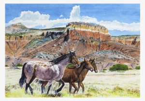 Abiqui Mustangs - Mare #1069148