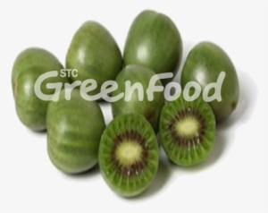 Kiwi - Mini Kiwi #1069632