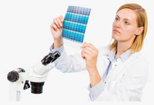 Scientist Png - Scientist Stock Photo Png #1069637