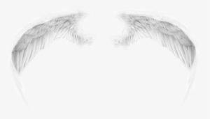 Wings By Romanticfae On Clipart Library - Psd Cánh Thiên Thần #1069707