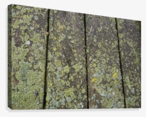 Close Up Of The Wooden Planks On A Picnic Table Covered #1069929