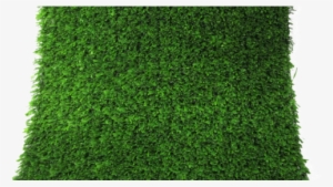 Xgbc - Lawn #1070385