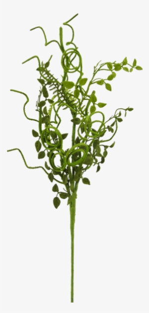 Image - Grass #1070694