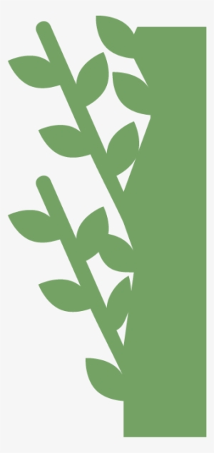 Moss Wall, Living Wall, Live Wall, Green Wall, Plant #1070810