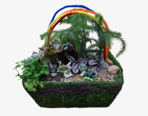 Leprechaun Fairy Garden Workshop - Sageretia Theezans #1070872