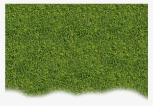 Lawn #1070919