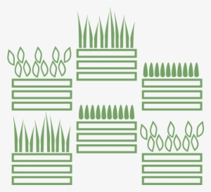 Moss Wall, Living Wall, Live Wall, Green Wall, Plant - Drawing #1070978