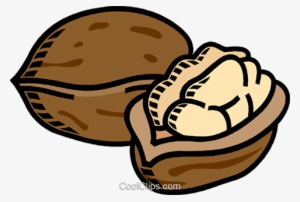 Walnuts Royalty Free Vector Clip Art Illustration - Nüsse Clipart #1071439