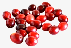 Cranberry Vs Red Currant #1071454