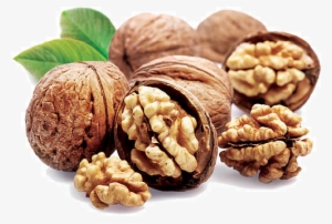 The Uses And Benefits Of Walnuts And Walnut Oil - Walnut Meaning In Telugu #1071460