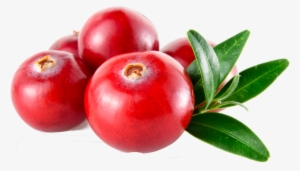 For A Healthy Lifestyle - Cranberry Concentrate Supplements Pills For Urinary #1071535