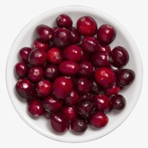 Cranberries - Textile #1071606