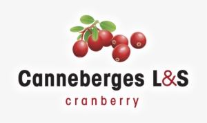 Lingonberry #1071965
