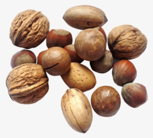 Nut Png Transparent Image - Nut Png #1072073