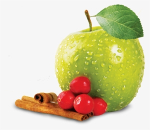 Cranberry Mostly Sunny Umpqua - Xi'an #1072173