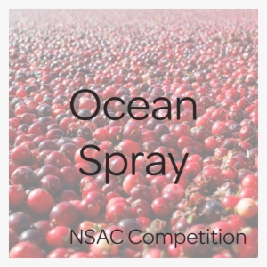 Cranberries - Cranberry Field #1072242