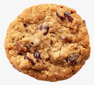 Cranberry Oatmeal Cookie - Oatmeal Cookie #1072257