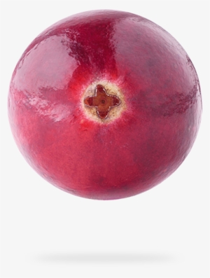 Healthy, Tasty, Low-sugar Snacks - Nectarine #1072280