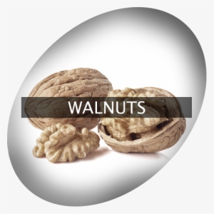 Landingimage Igrow Walnuts - Walnut #1072408