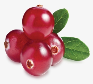 Collection Scent - Cranberries - Cranberry Lamberts #1072942