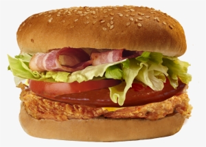 Hamburguesa Barbacoa #1074225