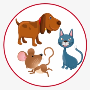 Conjunto-animales - Conjunto De Animales Diagrama De Venn #1074858