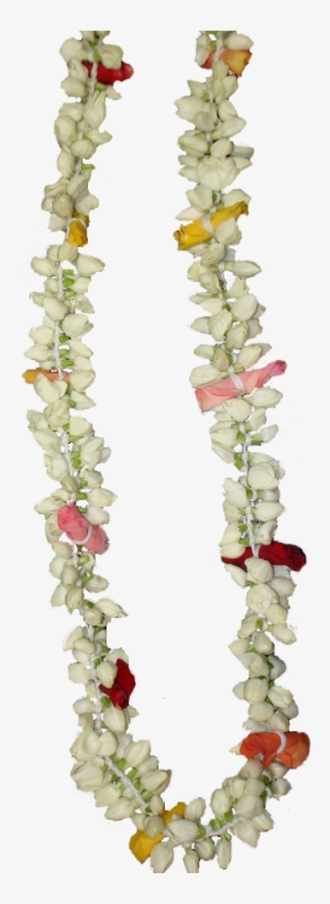 Flower Garland Png - Indian Wedding Garland Png #1075227