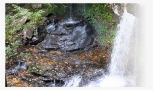 Home - Tributary #1075591