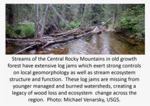 Nutrient Retention And Productivity In Rocky Mountain - Tributary #1075620
