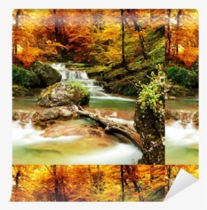 Autumn Creek Woods With Yellow Trees Wallpaper • Pixers® - Autumn Stream Shower Curtain #1075638