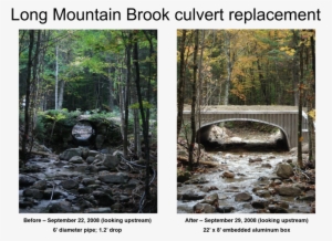 Picture2 - Grove #1075641