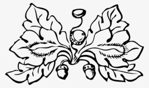 Black, Fall, Outline, Plants, Leaf, White, Border - Autumn Clipart Black And White #1075747