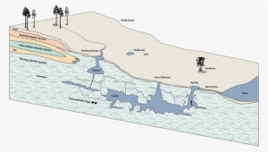 Cross Section - Spring In A River #1076645