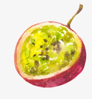 Hand Painted Cut Passion Fruit Png Transparent - Portable Network Graphics #1077204