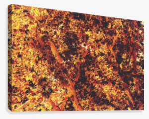 Autumn Leaves Texture With Golden Light Abstract Background - Printing #1077369