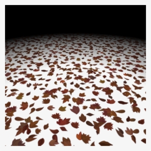 Dead Leaf Texture Set - Dead Leaf Png #1077376