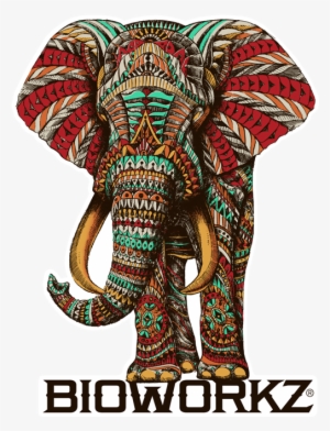 Ornate Elephant Sticker - Elephant Colour In Poster #1081358