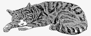 Sleeping Cat Rubber Stamp - Ready-to-use Old-fashioned Cat Illustrations [book] #1081601