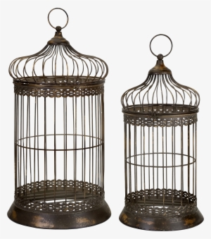 Cage For A Bird #1082416