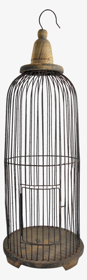 Decorative Round Wire Hanging Birdcage - Electrical Wiring #1082528