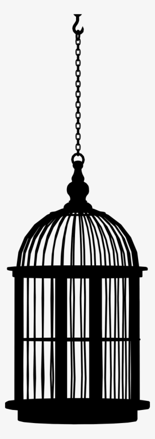Medium Image - Bird Cage Png #1082555
