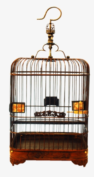 Square Birdcage With Rounded Corners Item Number - Gold #1082707