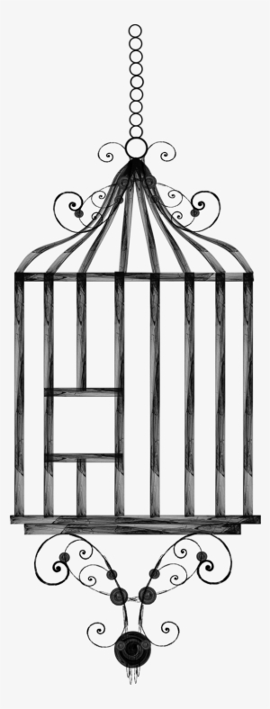 Stock Hanging Birdcage By Rockgem On Deviantart - Birdcage Drawing #1082769
