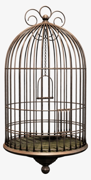 Free Png Bird Cage Png Images Transparent - Dolls House Book Cover Henrikh Ibsen #1082826