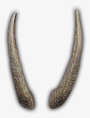 Party Horn Png Horns Related Keywords & Suggestions - Cuernos De Dragon Png #1082827