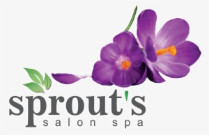 Sprout's Salon & Spa - Esmai Hüsna Allahın Güzel İsimleri Zafer Yayınları #1082852 Sprout's Salon & Spa - Esmai Hüsna Allahın Güzel İsimleri Zafer Yayınları #1082852